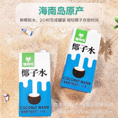 植物岛椰子水1L商用生打椰子水奶茶店专用原料海南青椰子水椰汁