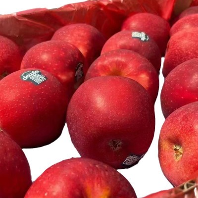 新西兰进口丹烁苹果Dazzle皇后苹果原装进口红玫瑰新鲜水果