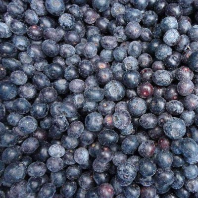 速冻蓝莓 冷冻蓝莓自制 蓝莓酱蓝莓酸奶 蓝莓