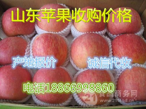 杭州今日红富士苹果批发价格 杭州水果批发市场