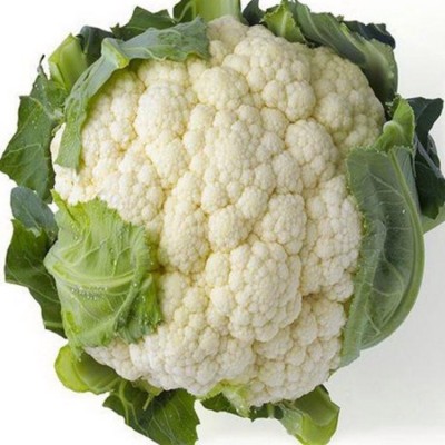 速冻冷冻绿花菜低温储存脱水蔬菜加工白色花菜 顺来