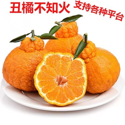 四川丑橘不知火桔子新鲜水果当季批发包邮非粑粑柑沃柑孕妇水果