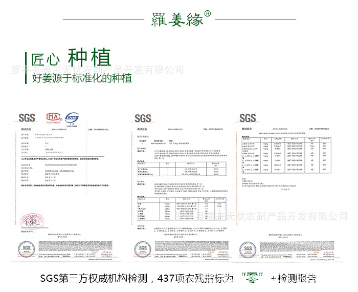 姜丸页面_06.jpg