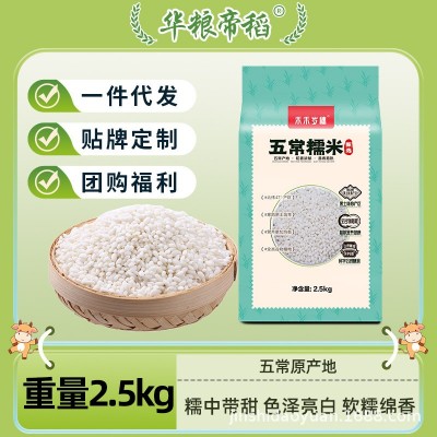 五常糯米2.5kg 圆糯米端午节新米江米包粽子专用酿酒商用 粘米批发