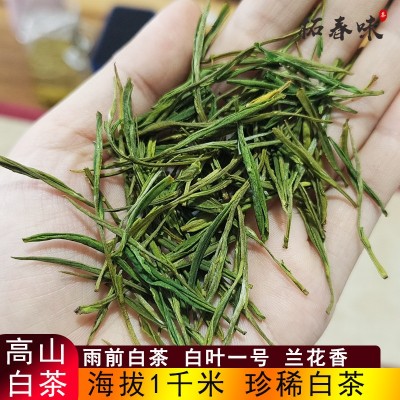 高山白茶兰花香白叶一号安吉特产遂昌雨前珍惜绿茶浙南新茶批发茶