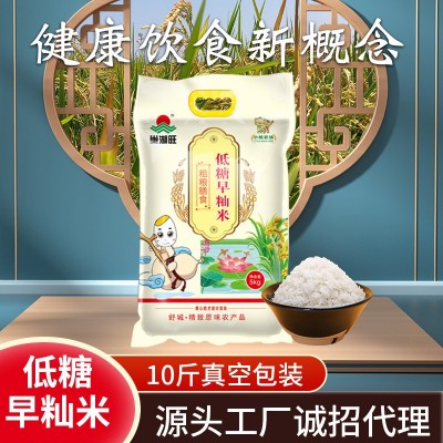 当季新米低糖早籼米5kg圆粒籼米米饭炒饭商用家用低糖大米
