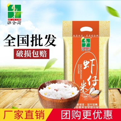 新米稻金乡5kg虾仔米广西大米批发10斤丝苗米长粒香米佛山