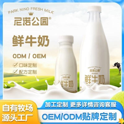贴牌代加工定制超高温灭菌乳制品pet瓶安牧鲜牛奶安牧鲜牛奶