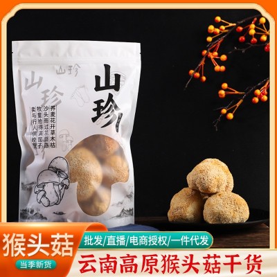 云南猴头菇干货新货无熏硫山珍菌菇食用农产品煲汤猴头菇源头厂家
