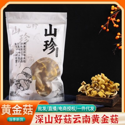 鸡油菌云南原产地黄金菇黄丝菌食用菌菇汤包煲汤食材厂家批发代发