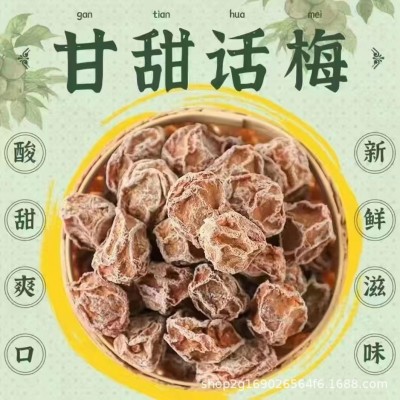 绿尚谷正宗九制特产甘甜话梅酸甜果脯蜜饯休闲宿舍年货零食老牌子