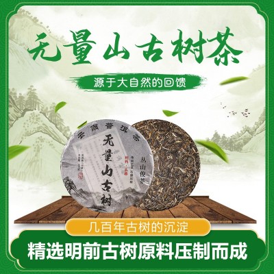 无量山古树单株古树云南普洱茶生茶古树茶