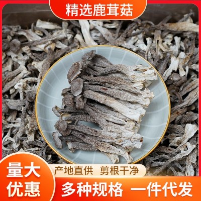 500g鹿茸菌散装批发 干货厂家直供鹿茸菇 食用菌酒店食材批发