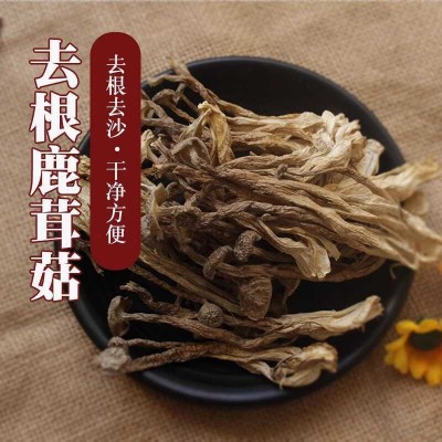 精选鹿茸菇干货福建古田特产净重500g非特级新鲜鹿茸菌商用脆脆菇