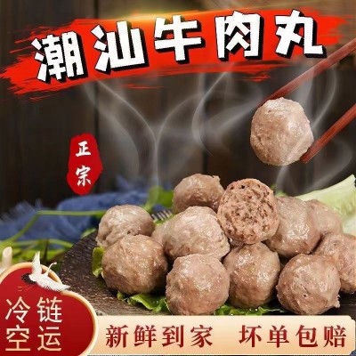 商用牛肉丸火锅食材串串香麻辣烫潮汕牛筋丸关东煮食材速冻批发丸