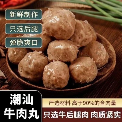 正宗潮汕牛肉丸牛筋丸小火锅烧烤关东煮食材批发商用肉丸子