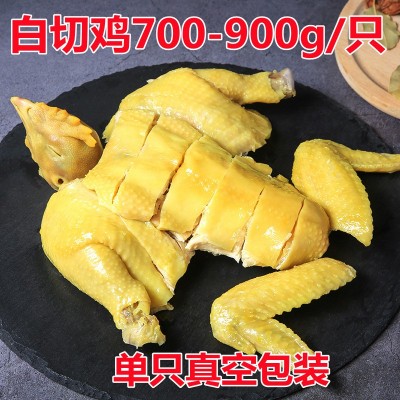 广东特产白切鸡手撕鸡口水鸡凉菜半成品速冻整只真空熟食速食料理